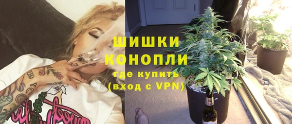 ПСИЛОЦИБИНОВЫЕ ГРИБЫ Алексеевка