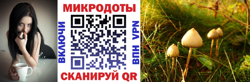 Псилоцибиновые грибы MAGIC MUSHROOMS  Ступино 